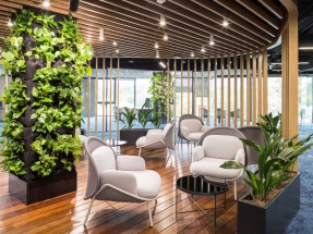 Canapele Lounge Office 