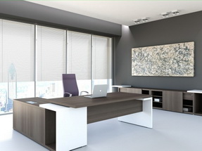 Birouri directoriale Mito