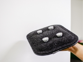 Panouri Acustice Leaves Wall/Glass