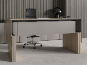 Birou Executive Motion 