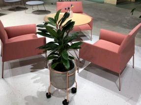 Canapele Lounge Office 