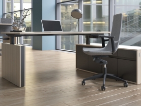 Birou Executive Motion 