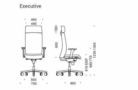 Scaun Directorial Aura