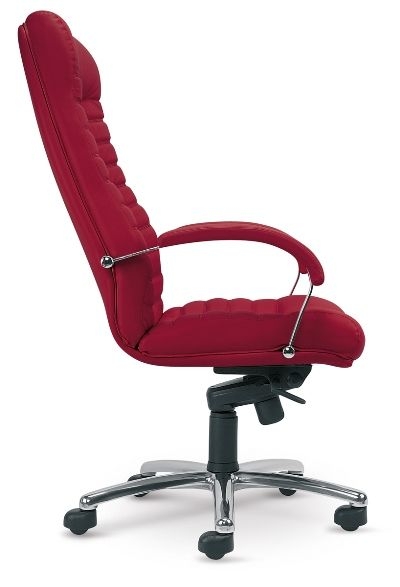 Scaun Directorial Orion