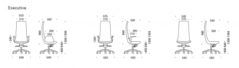 Scaun Directorial North Cape