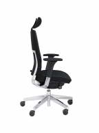 Scaun Directorial Violle 131SFL