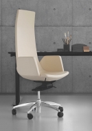 Scaun Directorial North Cape